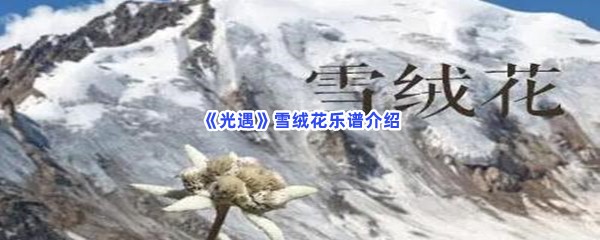 光遇雪绒花乐谱介绍