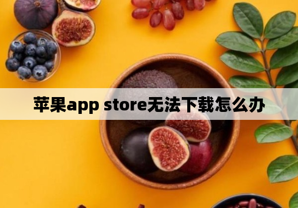 苹果app store无法下载怎么办