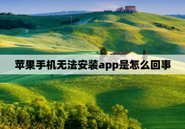 苹果手机无法安装app是怎么回事