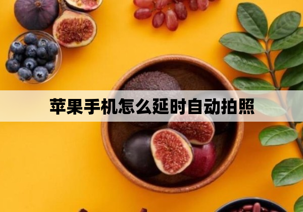 苹果手机怎么延时自动拍照