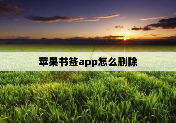 苹果书签app怎么删除