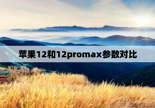 苹果12和12promax参数对比