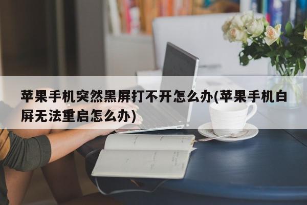 苹果手机突然黑屏打不开怎么办(苹果手机白屏无法重启怎么办)