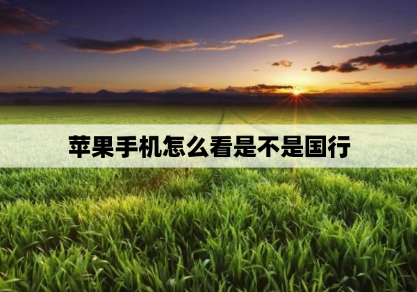 苹果手机怎么看是不是国行