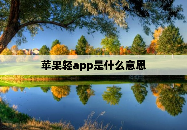 苹果轻app是什么意思