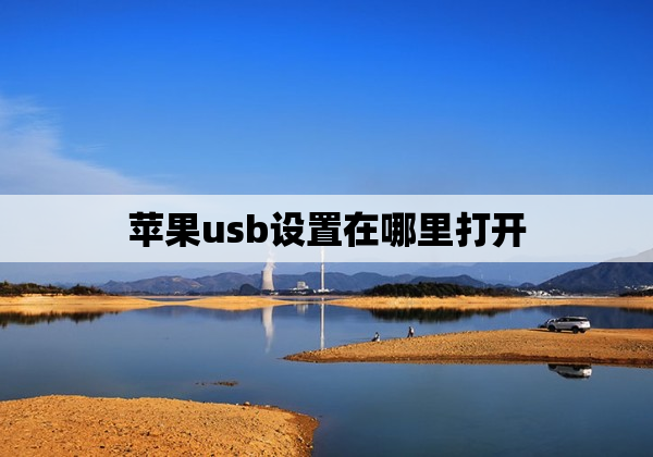 苹果usb设置在哪里打开