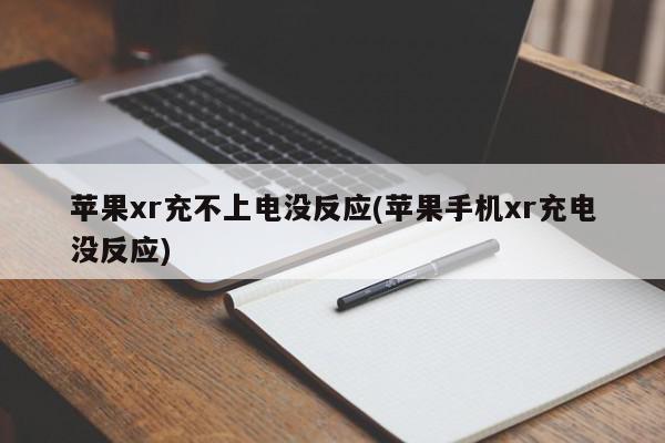 苹果xr充不上电没反应(苹果手机xr充电没反应)