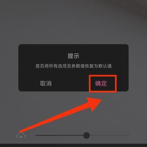 一甜相机怎么重置参数？一甜相机重置参数教程截图