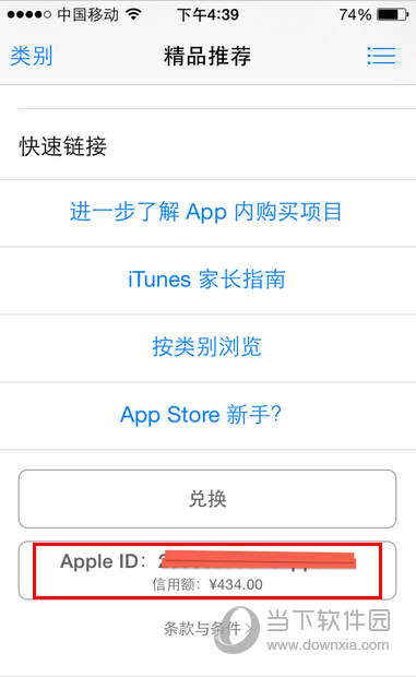 App  Store余额查询页面