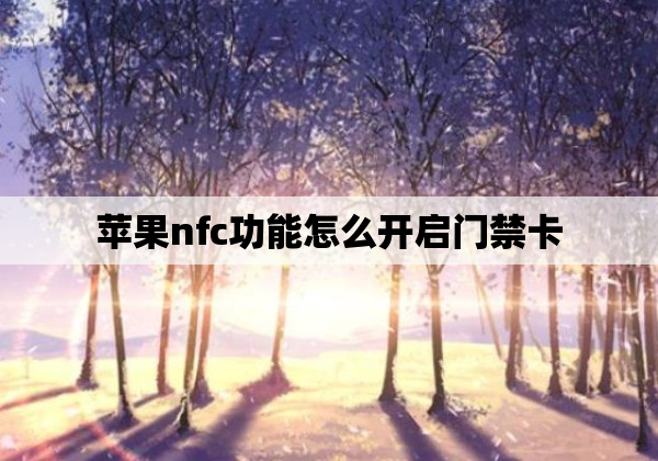 苹果nfc功能怎么开启门禁卡