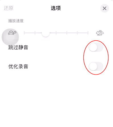 iOS15如何开启语音备忘录跳过静音？iOS15语音备忘录跳过静音开启方法截图