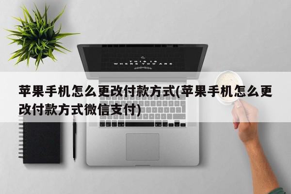 苹果手机怎么更改付款方式(苹果手机怎么更改付款方式微信支付)