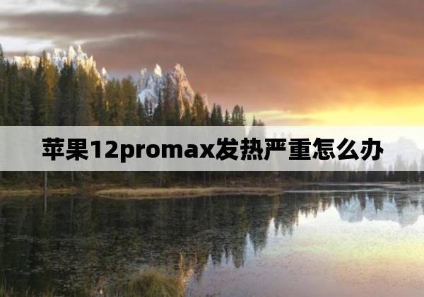 苹果12promax发热严重怎么办