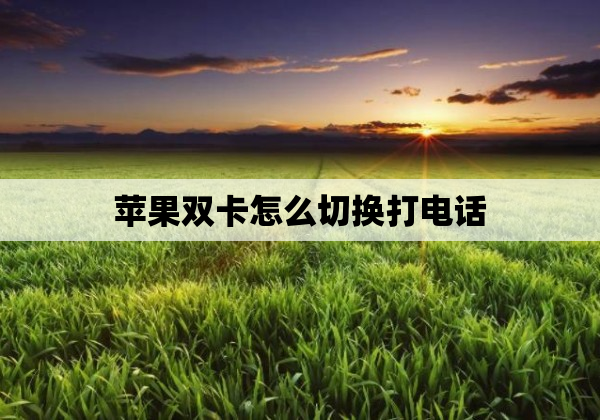 苹果双卡怎么切换打电话