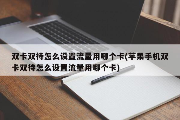 双卡双待怎么设置流量用哪个卡(苹果手机双卡双待怎么设置流量用哪个卡)