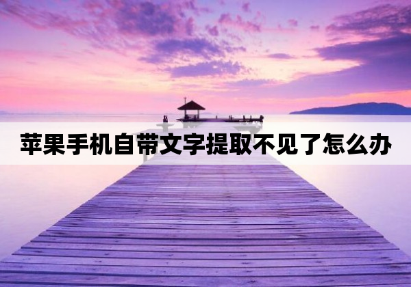 苹果手机自带文字提取不见了怎么办