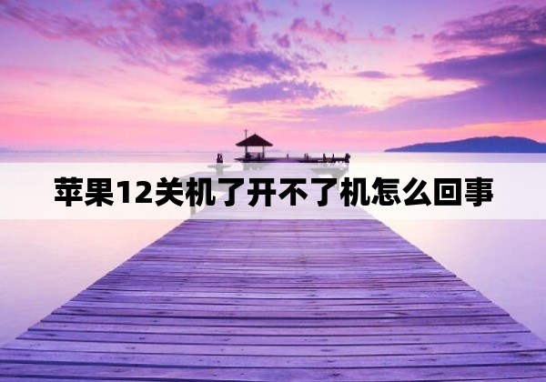 苹果12关机了开不了机怎么回事