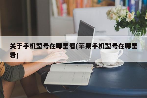 关于手机型号在哪里看(苹果手机型号在哪里看)