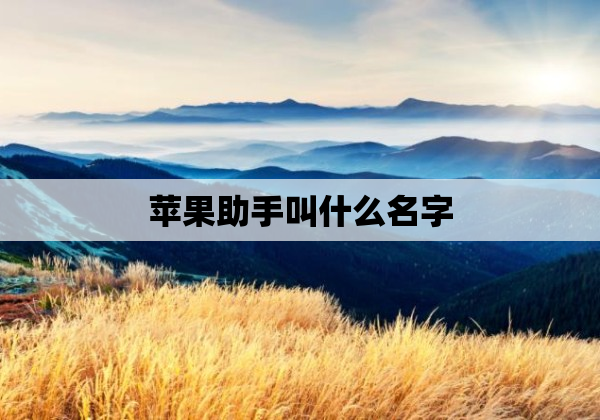 苹果助手叫什么名字