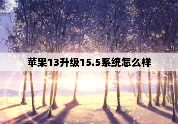 苹果13升级15.5系统怎么样