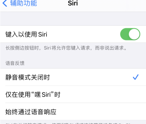 如何开启iPhone12语音助手Siri?iPhone12语音助手Siri开启方法截图