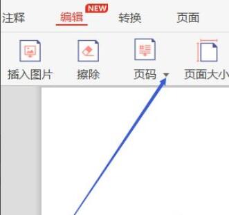 《极光PDF阅读器》给文档插入页码的操作方法