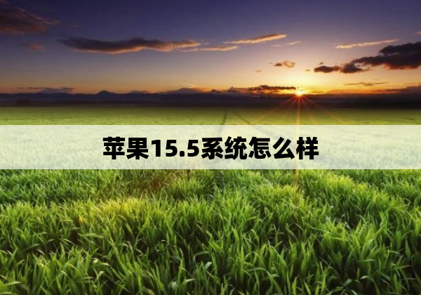 苹果15.5系统怎么样