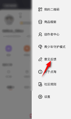 点淘怎么意见反馈？点淘意见反馈教程截图