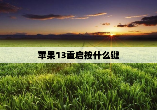 苹果13重启按什么键