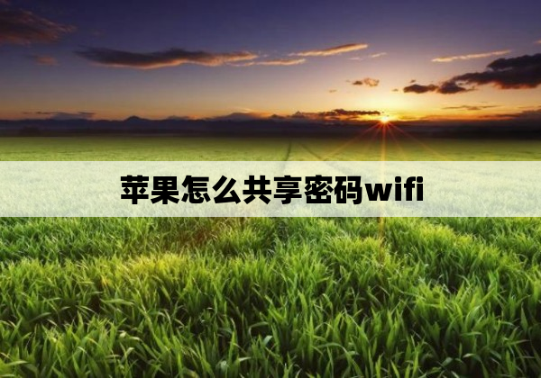 苹果怎么共享密码wifi