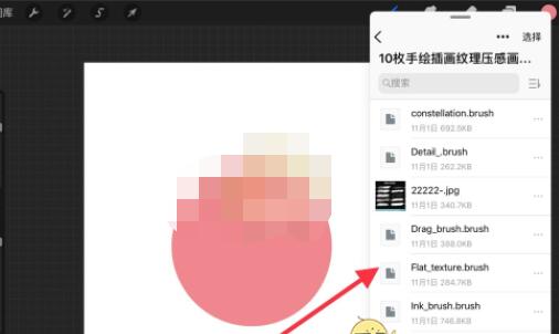 procreate怎么批量导入笔刷？procreate批量导入笔刷方法截图
