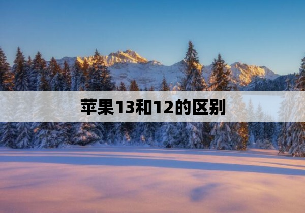 苹果13和12的区别