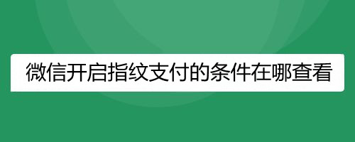 微信开启指纹支付的条件在哪查看