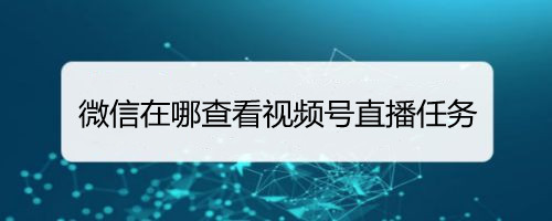 微信在哪查看视频号直播任务