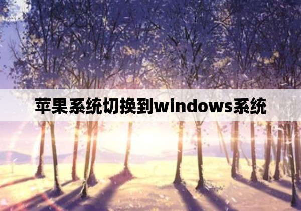 苹果系统切换到windows系统