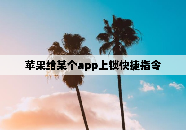 苹果给某个app上锁快捷指令