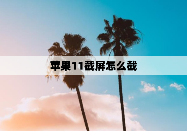 苹果11截屏怎么截