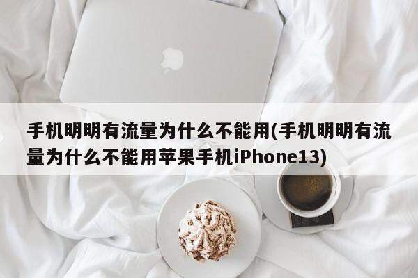 手机明明有流量为什么不能用(手机明明有流量为什么不能用苹果手机iPhone13)