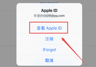 iphone12在哪关闭app  store的自动续费功能 苹果12苹果商城关闭自动续费步骤截图