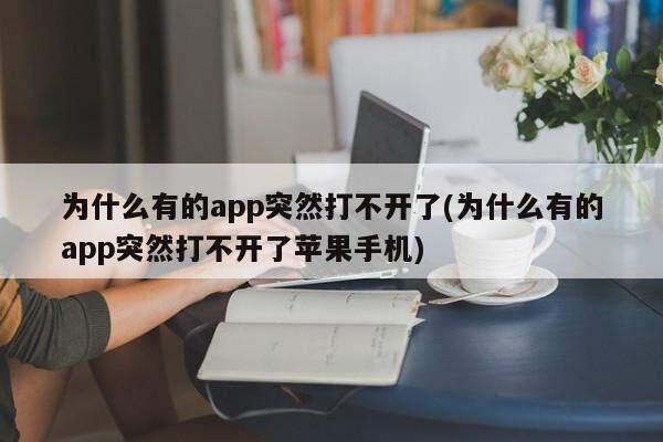 为什么有的app突然打不开了(为什么有的app突然打不开了苹果手机)