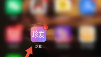 珍爱app如何隐藏在线状态 珍爱APP隐藏自己的资料教程