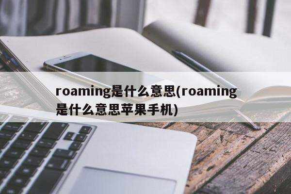 roaming是什么意思(roaming是什么意思苹果手机)