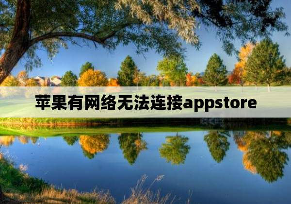 苹果有网络无法连接appstore