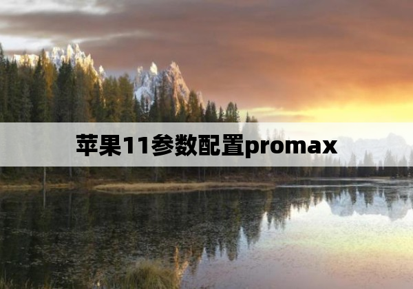 苹果11参数配置promax