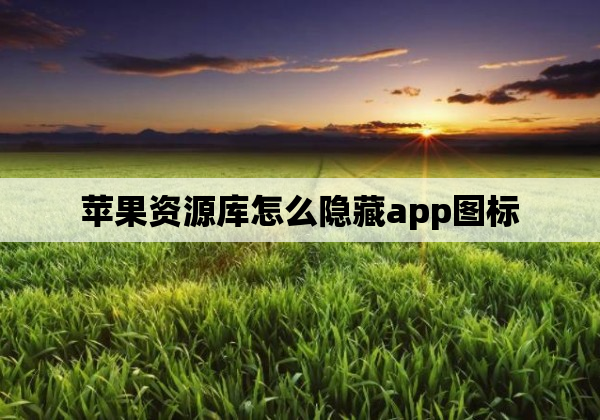 苹果资源库怎么隐藏app图标