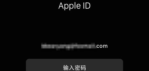 设置自己的 Apple  ID、定位服务、Siri以及为手表添加密码等