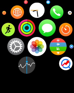 Apple  Watch  的主屏应用