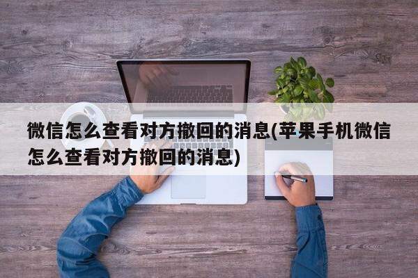 微信怎么查看对方撤回的消息(苹果手机微信怎么查看对方撤回的消息)