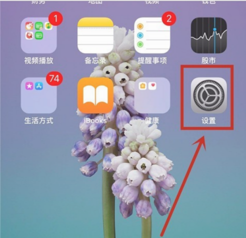 iPhone12自动调节亮度怎么关 iPhone12自动调节亮度关闭方法截图