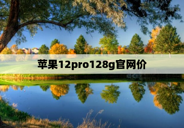 苹果12pro128g官网价